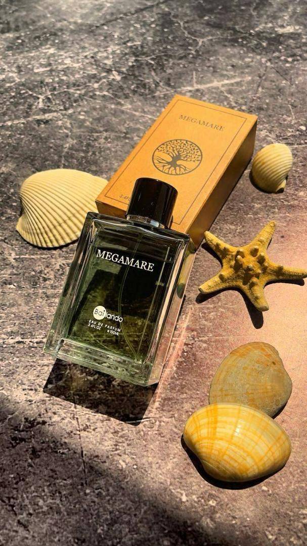 ادکلن بایلندو رایحه مگاماره ۱۰۰ میل | عطری دریایی، خنک و خاص